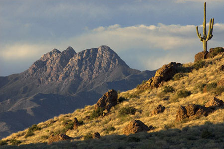 A lone saguaro stands on a rocky slope with Four Peaks in the background